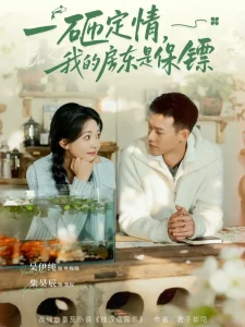 一砸定情,我的房东是保镖