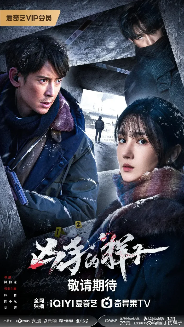 《凶手的样子》全集高清完整版在线观看与剧情解析