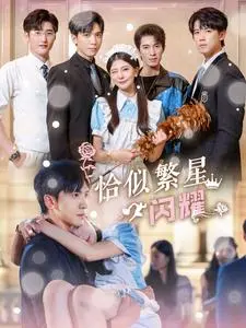 《恰似繁星闪耀》全集高清完整版在线观看与剧情解析