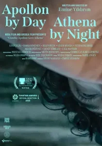 白天是阿波罗,晚上是雅典娜