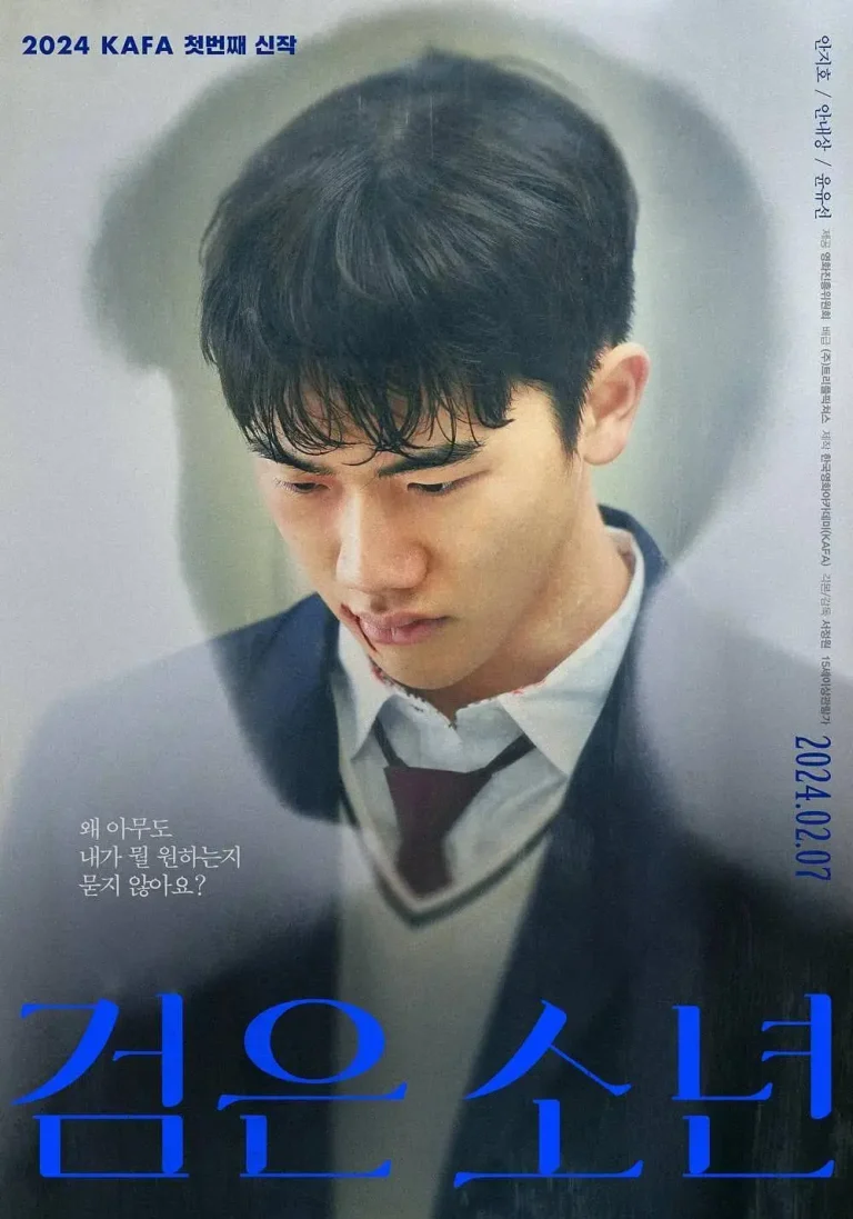 《黑色少年》全集高清完整版在线观看与剧情解析